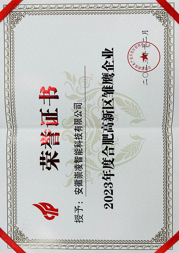 雛鷹企業(yè)證書(shū)